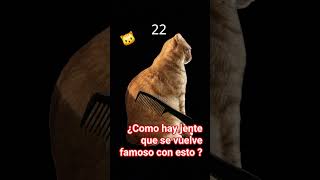 gatito *miau* #memes #humor #gatito
