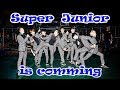 Super Junior on crack (Teaser)