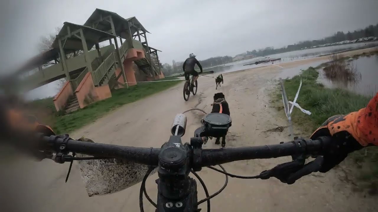 Dirty Dog Race 4 cani-VTT 