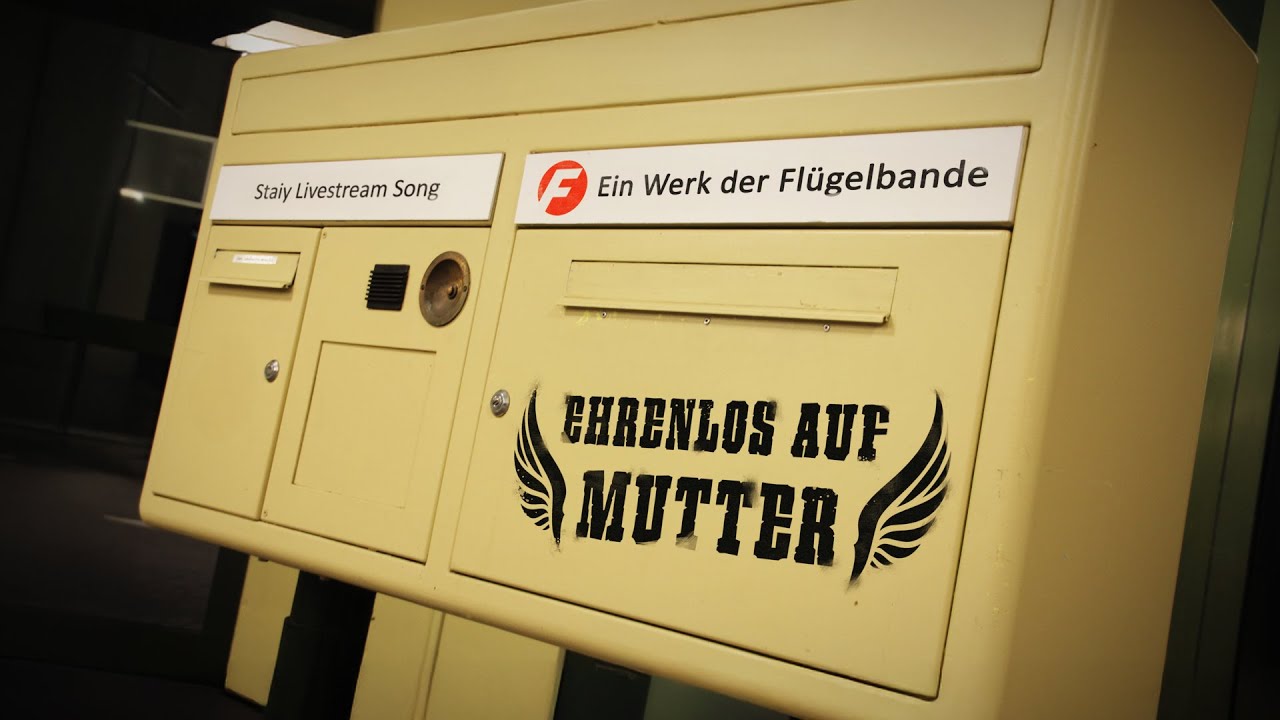 Der STAIY Livestream SONG!! 🎧 | Flügelbande: Ehrenlos auf Mutter 🪽