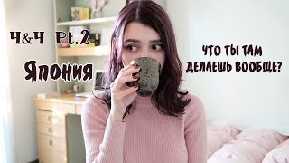 Чай&Чат[2] Япония ✌︎('ω')✌︎ | Стажировка, Сколько стоит??? Можно ли выжить русскому в Японии? 💖