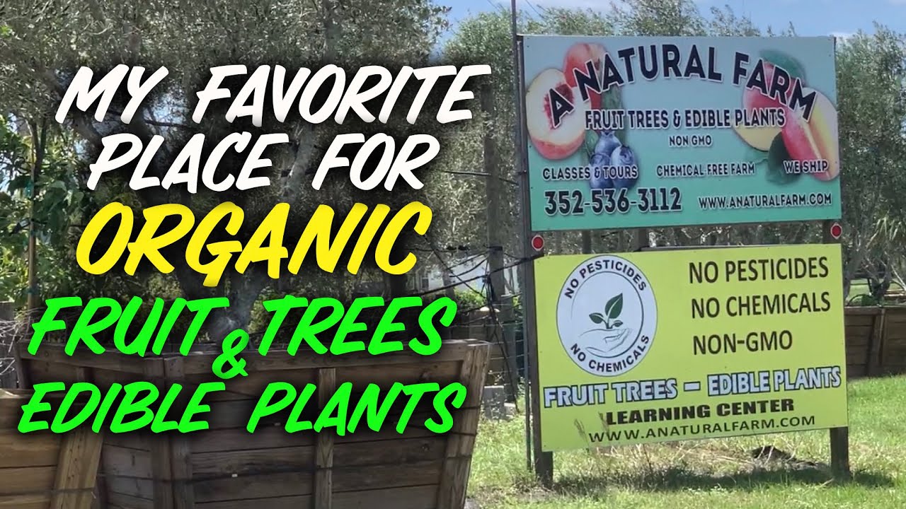 Favorite Place for Organic Fruit Trees & Plants | A Natural Farm Central Florida
