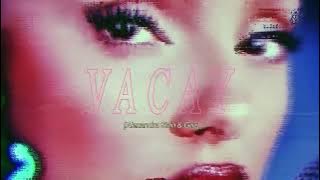 Alexandra Stan & GUZ - VACAY (Official Music Visualizer)