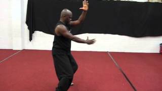 Hsing-I [Five Elements Boxing]
