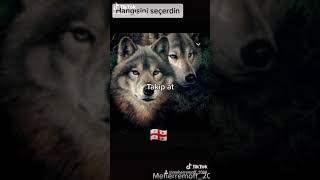 Varsa Bizden Iyisi Oda Bizden Birisi