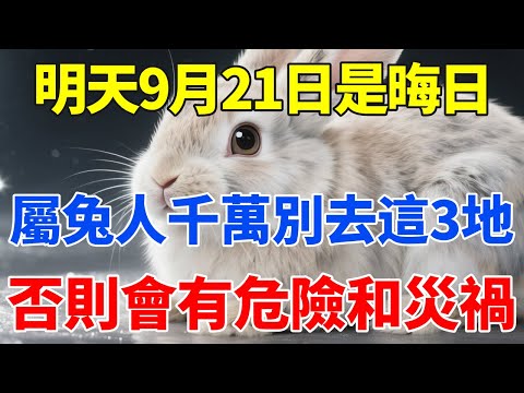 生肖兔注意 明天9月21日 農曆七月三十是 晦日 這3個地方千萬別去 否則會有危險和災禍 屬兔人必看 佛語禪音 生肖 命理 運勢 屬相 風水