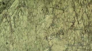 Actinolite, Plane Polars