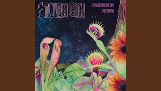 Video thumbnail of "Stolen Gin - Analie"