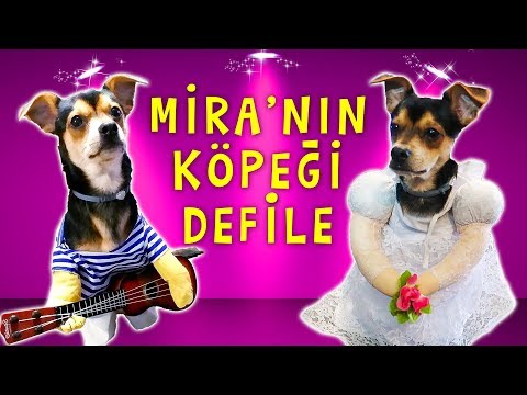 MİRA 'nın KÖPEĞİ DEFİLE YAPTI | Komik Köpek Videoları 1