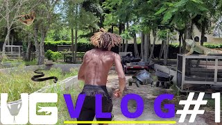 Ug Vlog 1 - Talking Smack And Feeding Big Torts