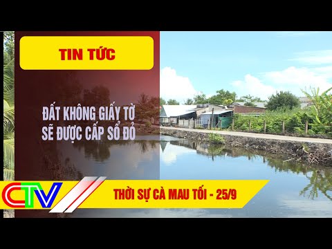 THỜI SỰ CÀ