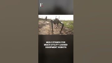 Watch: Indian Army Uses MULE For Border Surveillance | Firstpost