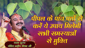 पीपल के पांच पत्तों से करें ये उपाय मिलेगी सभी समस्याओं से मुक्ति | Pandit Pradeep Ji Mishra Sehore