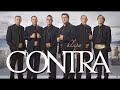 Žuta ruža - Klapa Contra (OFFICIAL AUDIO)