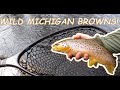 WILD MICHIGAN BROWN TROUT - EASY HOOK &#39;N WORM FISHING