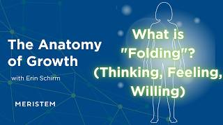 Celebrity The Anatomy of Growth: What is "Folding"? (Thinking, Feeling, Willing) Profile