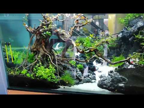 Video Hồ thủy sinh thác cát được làm bằng đá gia lai đen... - youtube