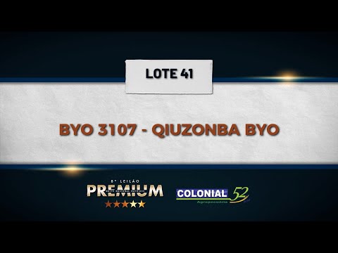 LOTE 41 BYO 3107