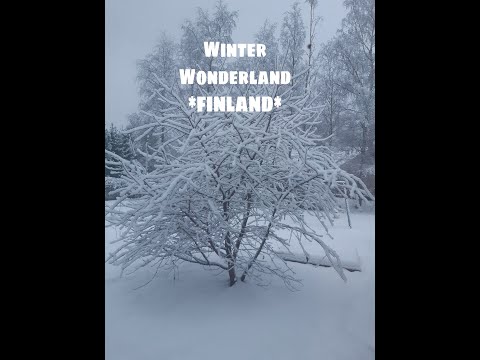 Video: De Thuisbasis Van De Kerstman, Finland Is Een Winterwonderland