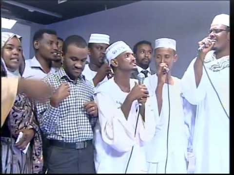 كمال الطيب مدحة عالي القدر والمستوى كواليس 