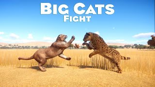 Big Cats Category Fight in Planet Zoo - PLANET ZOO - Planet Zoo Animal Fights