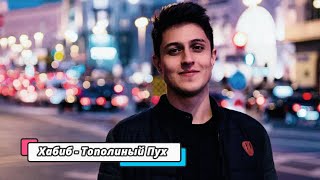 Хабиб - Тополиный Пух (trend music)