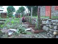 給菠蘿園除草,搭花壇種火龍果,這才是正宗做法 #火龙果 #花坛种植 #乡野生活 #除草 #菠萝园