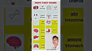 internal body parts name, Human body parts name hindi & English with picture #ssc #gk #english #body