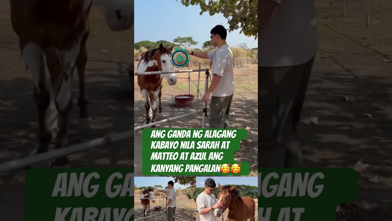 KABAYONG ALAGA NILA SARAH GERONIMO AT MATTEO GUIDICELLI AZUL ANG GANDA