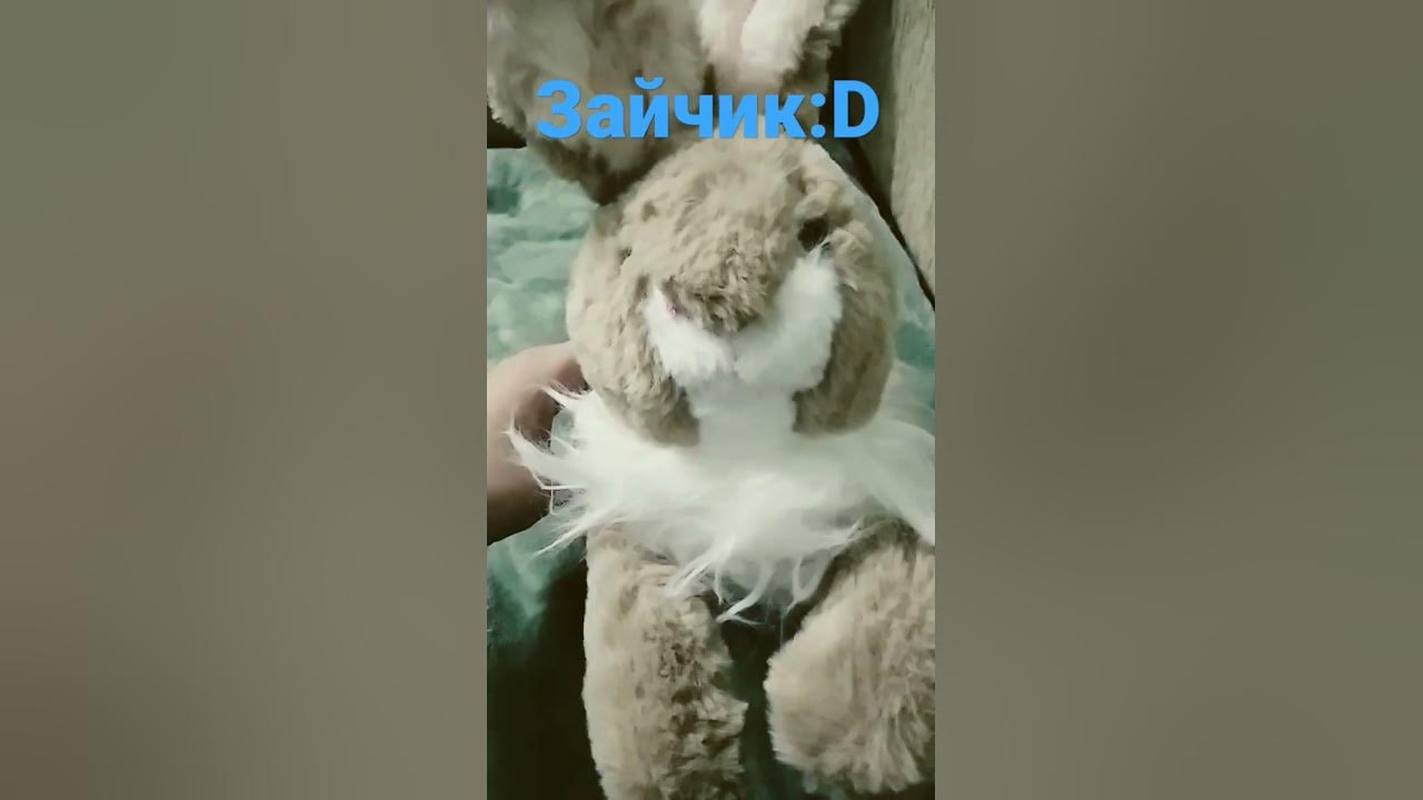 Мой зайчик:3 - YouTube