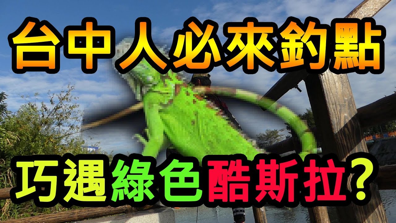 台中人必來的釣魚地點 沒想到還遇見綠色酷斯拉 康提 路亞 前打 磯釣 落入 泰國鱧 吳郭魚 Snakehead Omega 歐咩嘎