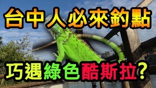 台中人必來的釣魚地點！！沒想到還遇見綠色酷斯拉？！(康提 ...