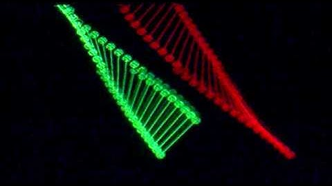 Turbo C++ Graphics Programming DNA