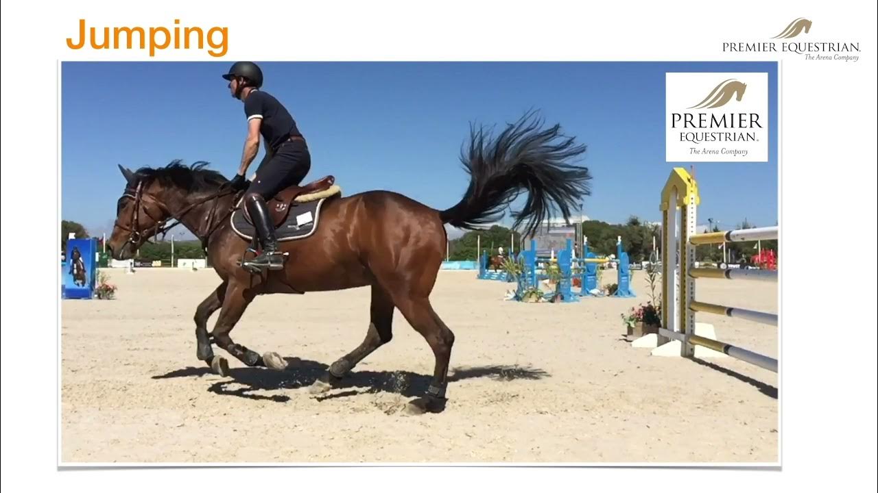 Premier Equestrian Footing Facts & Figures Different Disciplines
