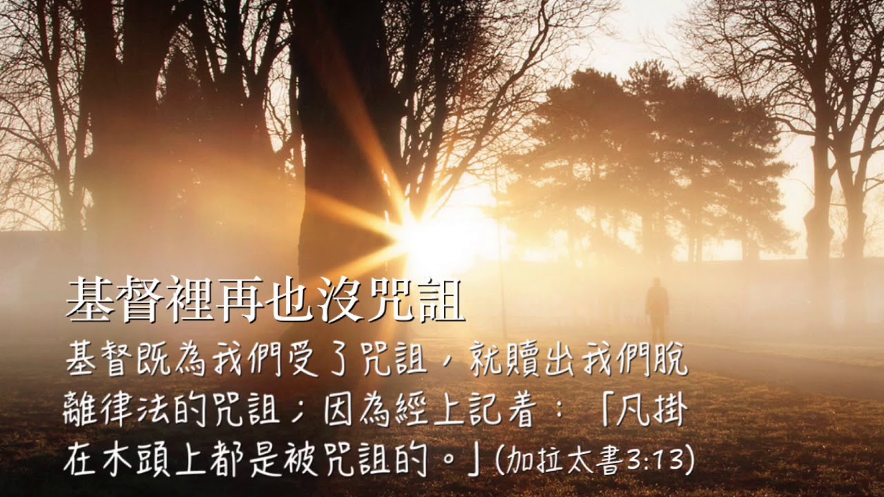每日靈修:基督裡再也沒咒詛 YouTube 每日靈修:基督裡再也沒咒詛 YouTube