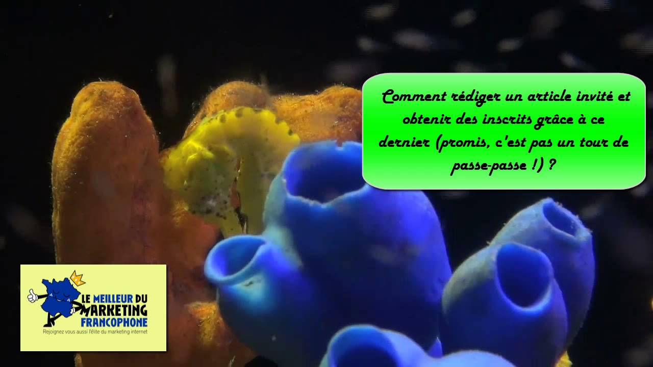 Comment rédiger un article invité comme un véritable pro et obtenir des inscrits ?