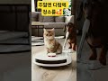 2025년 7월 20일