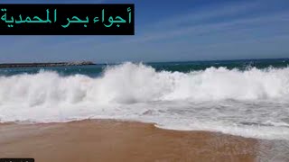 خرجه في بحر المحمديه والوليدة النشاط 