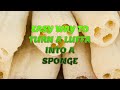 Easy Natural Luffa Sponges: The Perfect Homemade Gift!