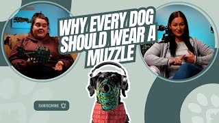 Exclusive Why Every Dog Should Wear A Muzzle And How To Train Them Details