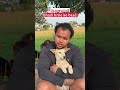 shadi krne ke baad maja to aayega#funnyanimals #viral #funny #famousshorts