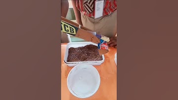 JCB -Science Project for kids(Pascal