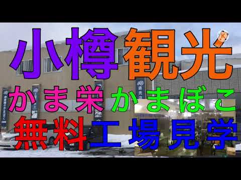 【小樽観光】かま栄の工場を無料で工場見学してみた！