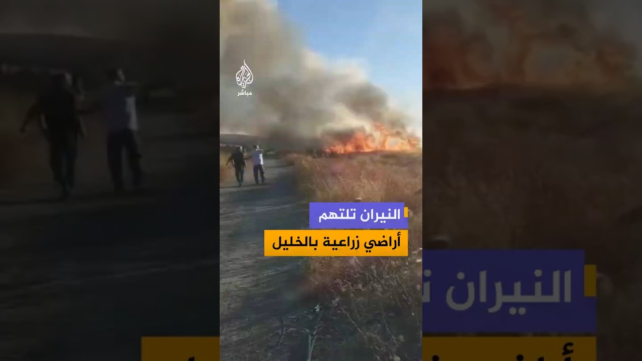 النيران تلتهم أراضي زراعية بالخليل