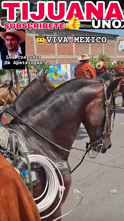 Carlos manzo uruapan cuerudos de apatzingan  michoacan