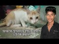 আজকে আমাদের বাড়ি বিড়াল এটা কি করলো #dallyblog #viral #blog @RupaKishoriVlogs