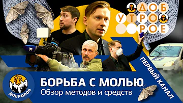 Пищевая и платяная моль. Борьба и профилактика