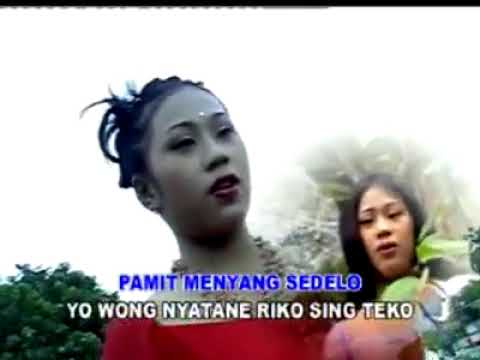 Nila Waluyo - Ring Taman Sritanjung
