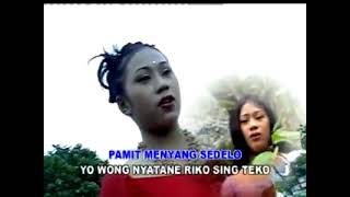 Download Lagu Nila Waluyo - Ring Taman Sritanjung MP3