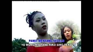 Nila Waluyo - Ring Taman Sritanjung
